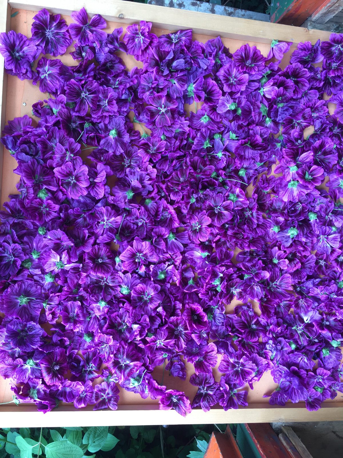Heute schon die Augen mit Farben gebadet?