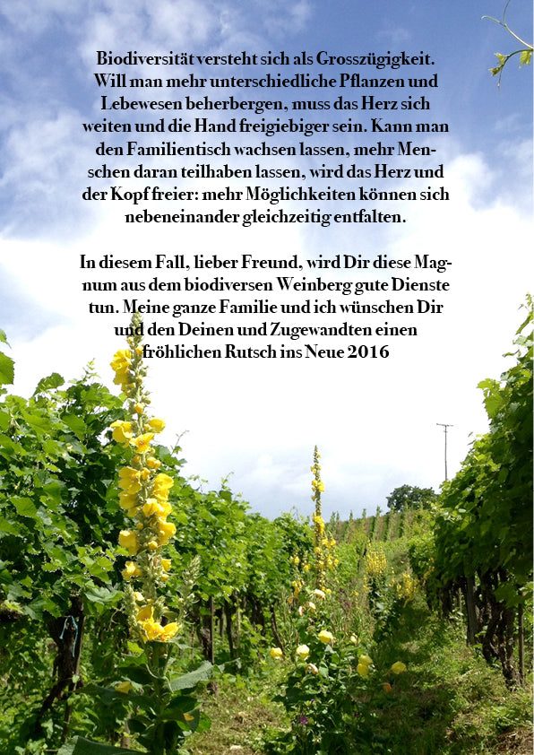 Magnum schenken!