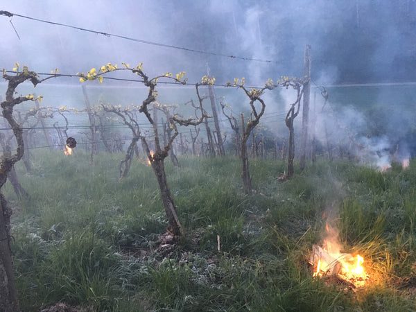 Feuer und Frost