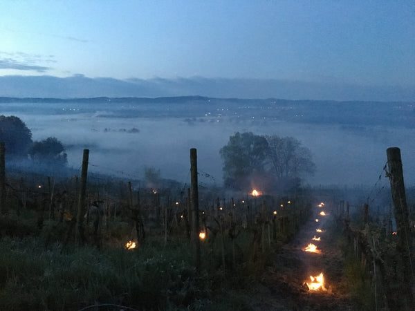 Feuer auf dem Iselisberg!